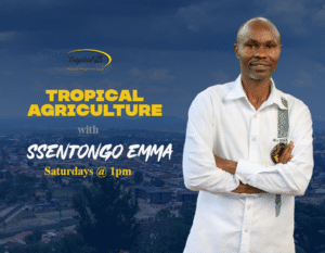 Tropical Agriculture